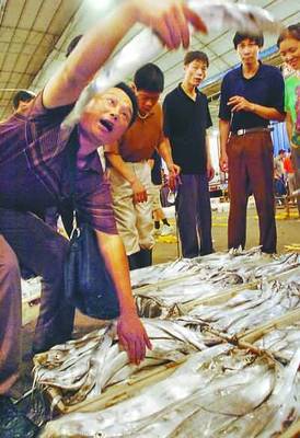 透骨新鮮第一網(wǎng)魚上市——品味海洋的饋贈