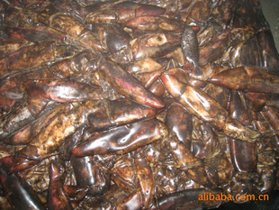 船凍紅魷魚 價格、廠家與粗加工水產品市場解析